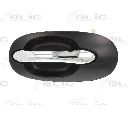 Maner usa BLIC 6010-53-012403P</br>Piesa auto pentru Categorii