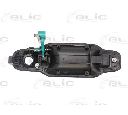Maner usa BLIC 6010-53-013401P</br>Piesa auto pentru Categorii