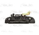 Maner usa BLIC 6010-53-020404P</br>Piesa auto pentru Categorii