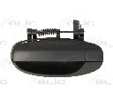 Maner usa BLIC 6010-56-008403P</br>Piesa auto pentru Categorii