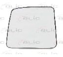 Sticla oglinda, oglinda retrovizoare exterioara BLIC 6102-02-1231997P</br>Piesa auto pentru Celula pasager
