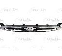 Grila radiator BLIC 6502-07-2530995P</br>Piesa auto pentru Elemente/Piese montaj