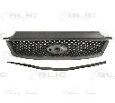 Grila radiator BLIC 6502-07-2534990P</br>Piesa auto pentru Elemente/Piese montaj