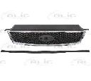 Grila radiator BLIC 6502-07-2534991P</br>Piesa auto pentru Elemente/Piese montaj