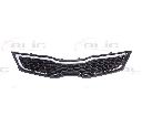 Grila radiator BLIC 6502-07-3277992P</br>Piesa auto pentru Elemente/Piese montaj