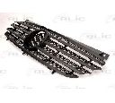 Grila radiator BLIC 6502-07-3542990P</br>Piesa auto pentru Elemente/Piese montaj