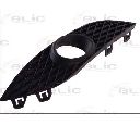 Grila ventilatie, bara protectie BLIC 6502-07-5052914P</br>Piesa auto pentru Elemente caroserie/Aripa/Bara protectie