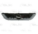 Grila radiator BLIC 6502-07-5077990P</br>Piesa auto pentru Elemente/Piese montaj