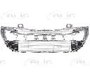 Grila ventilatie, bara protectie BLIC 6502-07-5519910P</br>Piesa auto pentru Elemente caroserie/Aripa/Bara protectie