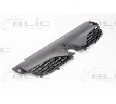 Grila radiator BLIC 6502-07-6049990P</br>Piesa auto pentru Elemente/Piese montaj