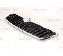 Grila radiator BLIC 6502-07-7521991P</br>Piesa auto pentru Elemente caroserie/Aripa/Bara protectie