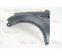 Aripa BLIC 6504-04-2578311P</br>Piesa auto pentru Fata vehicul