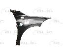 Aripa BLIC 6504-04-6613311P</br>Piesa auto pentru Elemente caroserie/Aripa/Bara protectie