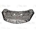 Capota motor BLIC 6803-00-3421280P</br>Piesa auto pentru trapa/ capota/ usi/ acoperis escamotabil/ pavilion pliant