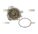 Pompa apa STARLINE VP AR002</br>Piesa auto pentru Pompa apa/ Garnitura