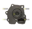 Pompa apa STARLINE VP F141</br>Piesa auto pentru Pompa apa/ Garnitura