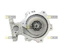 Pompa apa STARLINE VP F190</br>Piesa auto pentru Pompa apa/ Garnitura