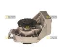 Pompa apa STARLINE VP FI136</br>Piesa auto pentru Pompa apa/ Garnitura Pompa apa STARLINE VP FI136</br>Piesa auto pentru Pompa apa/ Garnitura