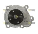 Pompa apa STARLINE VP O111</br>Piesa auto pentru Pompa apa/ Garnitura