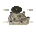 Pompa apa STARLINE VP O111</br>Piesa auto pentru Pompa apa/ Garnitura