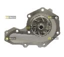 Pompa apa STARLINE VP RE101</br>Piesa auto pentru Pompa apa/ Garnitura