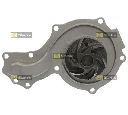 Pompa apa STARLINE VP SK131</br>Piesa auto pentru Pompa apa/ Garnitura