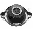 Buson,radiator CALORSTAT by Vernet RC0022</br>Piesa auto pentru Radiator racire apa/ ulei