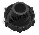Buson,vas expansiune CALORSTAT by Vernet RC0154</br>Piesa auto pentru Categorii