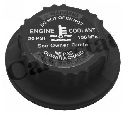 Buson,vas expansiune CALORSTAT by Vernet RC0189</br>Piesa auto pentru Categorii