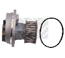 Pompa apa MAPCO 21766</br>Piesa auto pentru Pompa apa/ Garnitura