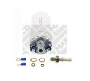 Pompa combustibil MAPCO 22520</br>Piesa auto pentru Categorii