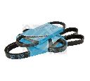 Set curea transmisie cu caneluri MAPCO 93804</br>Piesa auto pentru Piese de service/ Inspectie / Intretinere