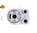 Radiator ulei, ulei motor NRF 31221</br>Piesa auto pentru Radiator racire apa/ ulei