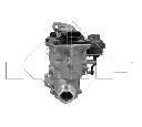 Modul-EGR NRF 48208</br>Piesa auto pentru Recirculare gaz esapament (RGE)