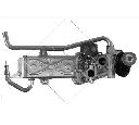 Modul-EGR NRF 48214</br>Piesa auto pentru Recirculare gaz esapament (RGE)