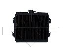 Radiator, racire motor NRF 504343