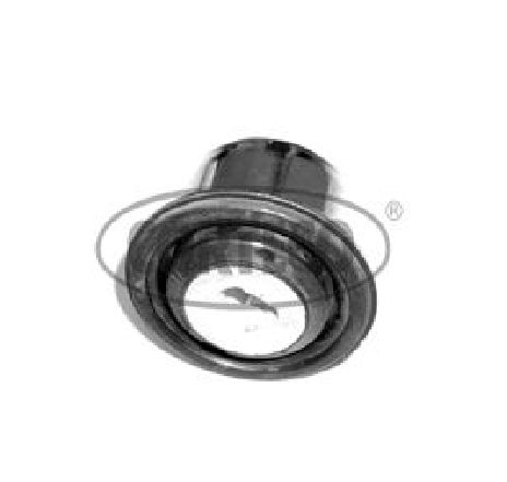 Suport,trapez CORTECO 21652476</br>Piesa auto pentru Directie / bucsi, rulmenti Suport,trapez CORTECO 21652476</br>Piesa auto pentru Directie / bucsi, rulmenti