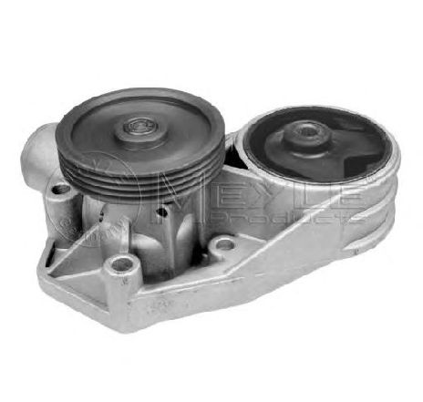 Pompa apa MEYLE 013 012 0039 Pompa apa MEYLE 013 012 0039