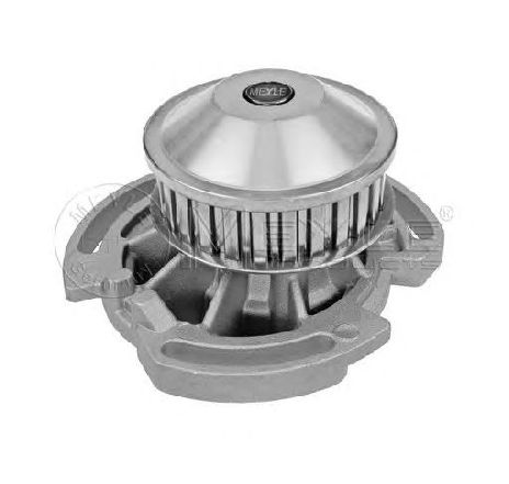 Pompa apa MEYLE 113 012 0025</br>Piesa auto pentru Pompa apa/ Garnitura Pompa apa MEYLE 113 012 0025</br>Piesa auto pentru Pompa apa/ Garnitura