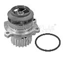 Pompa apa MEYLE 113 220 0019</br>Piesa auto pentru Pompa apa/ Garnitura