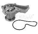 Pompa apa MEYLE 31-13 220 0012</br>Piesa auto pentru Pompa apa/ Garnitura
