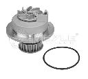 Pompa apa MEYLE 613 600 4135</br>Piesa auto pentru Pompa apa/ Garnitura