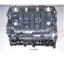 Motor,excluzand accesoriile JAPANPARTS MP-H00</br>Piesa auto pentru Motor complet / Subansamble