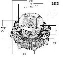 Cupla, ventilator radiator JAPANPARTS VC-202