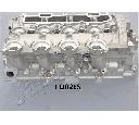 Chiulasa JAPANPARTS XX-FO02ES</br>Piesa auto pentru Chiuloasa/piese