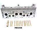Chiulasa JAPANPARTS XX-PE02ES</br>Piesa auto pentru Chiuloasa/piese