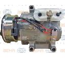 Compresor, climatizare HELLA 8FK 351 334-211 Compresor, climatizare HELLA 8FK 351 334-211