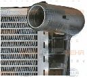 Radiator, racire motor HELLA 8MK 376 713-791