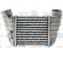 Intercooler, compresor HELLA 8ML 376 700-061