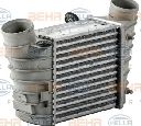 Intercooler, compresor HELLA 8ML 376 700-061